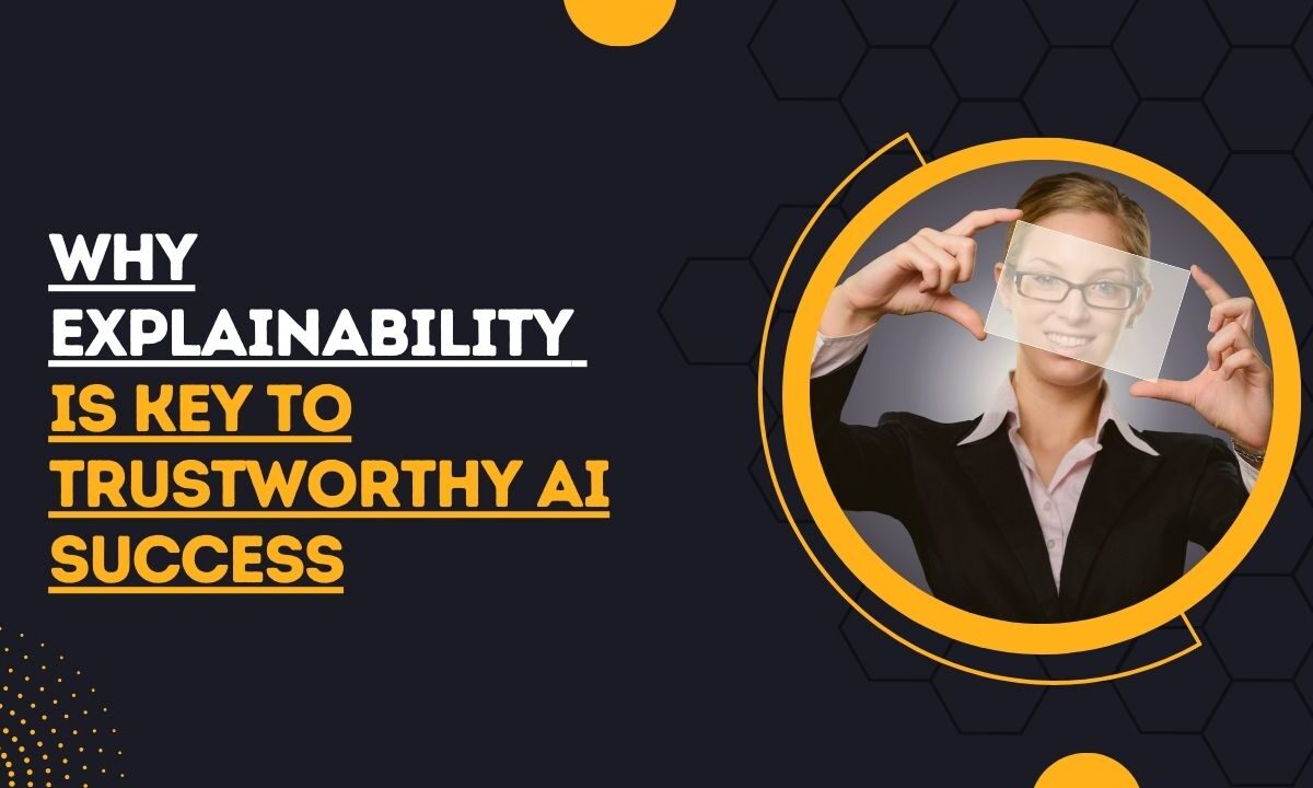 explainability for trustworthy AI