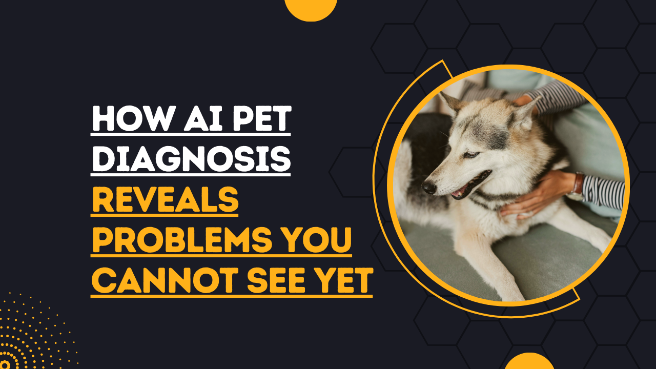 AI pet diagnosis