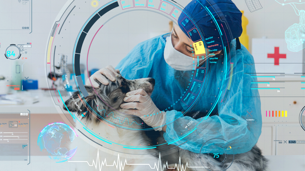 future of veterinary AI 